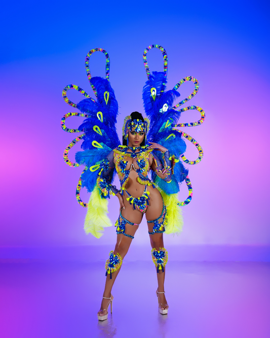 Frontline: Wire bra Large back (#FWLB)